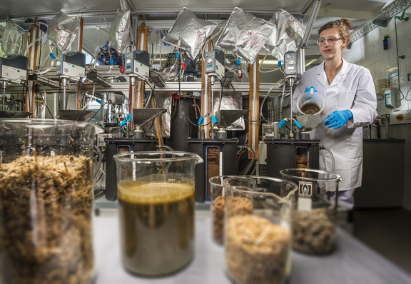 Wissenschaftlerin arbeitet mit Biomasse im Labor.